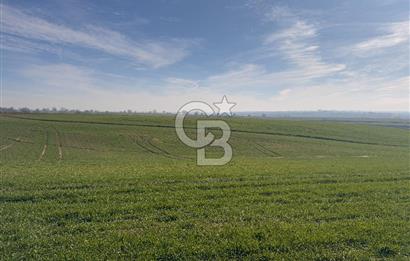 Çorlu Kemalettin Mah 7.540 m2 Lojistik Tesis İmarlı Satılık Arsa