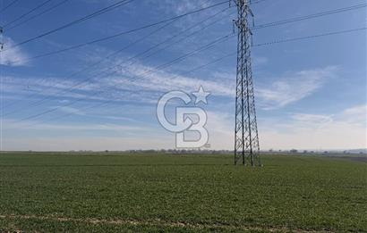 Çorlu Kemalettin Mah 7.540 m2 Lojistik Tesis İmarlı Satılık Arsa