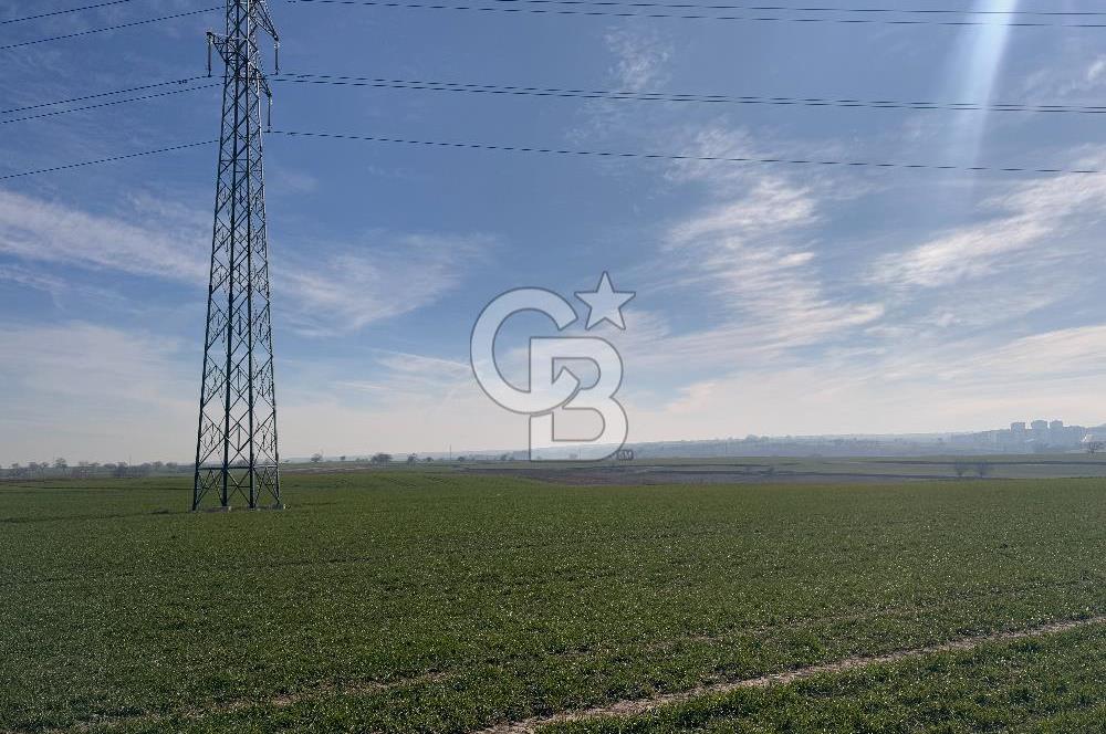 Çorlu Kemalettin Mah 7.540 m2 Lojistik Tesis İmarlı Satılık Arsa