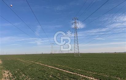 Çorlu Kemalettin Mah 7.540 m2 Lojistik Tesis İmarlı Satılık Arsa