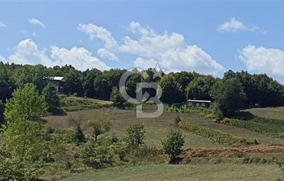 KOCAELİ GEBZE TEPEMANAYIR'DA 1984 M2 ARAZİ