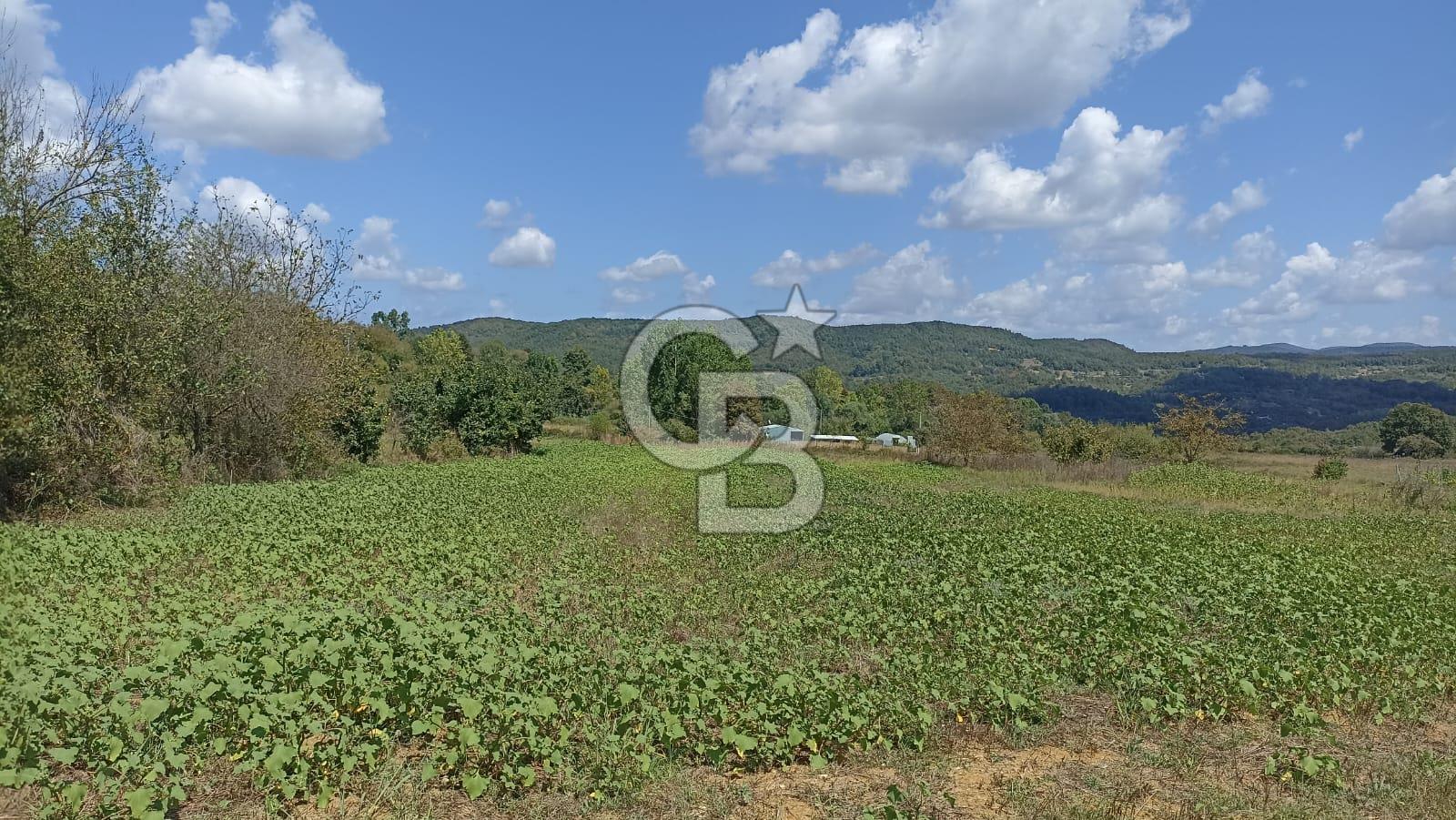 Gebze Tepemanayır'da 9825 m2 Arazi