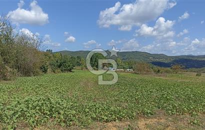 Gebze Tepemanayır'da 9825 m2 Arazi