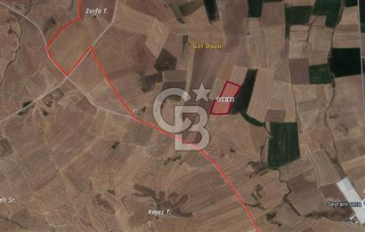 ANAYURT MAH SATILIK 5.067 M2 TARLA… 2.OSB YAKINI.. FIRSAT