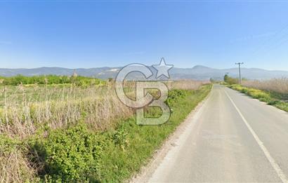 SAKARYA PAMUKOVA ÇARDAK'DA HARİKA KONUMDA 1550 M2 TARLA