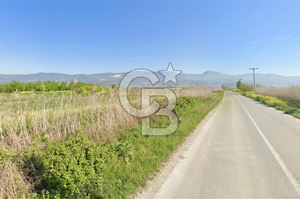 SAKARYA PAMUKOVA ÇARDAK'DA 2100 M2 ÇİFTLİK ARAZİSİ