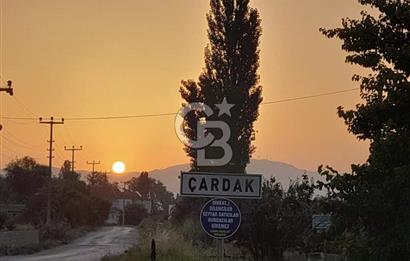 SAKARYA PAMUKOVA ÇARDAK'DA HARİKA KONUMDA 1550 M2 TARLA