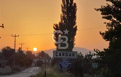 SAKARYA PAMUKOVA ÇARDAK'DA HARİKA KONUMDA 1775 M2 TARLA