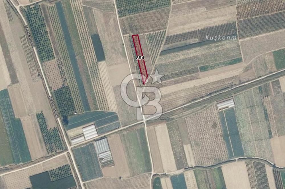 SAKARYA PAMUKOVA ÇARDAK'DA HARİKA KONUMDA 1775 M2 TARLA