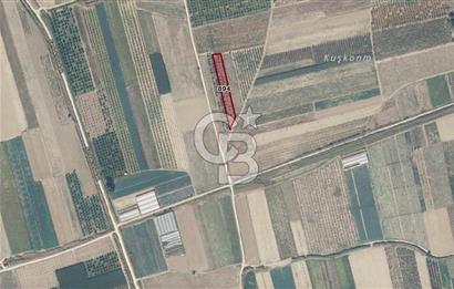 SAKARYA PAMUKOVA ÇARDAK'DA HARİKA KONUMDA 1775 M2 TARLA