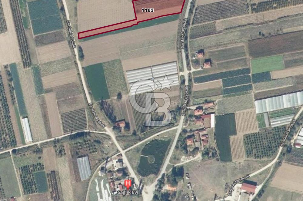 SAKARYA PAMUKOVA ÇARDAK'DA 2100 M2 ÇİFTLİK ARAZİSİ