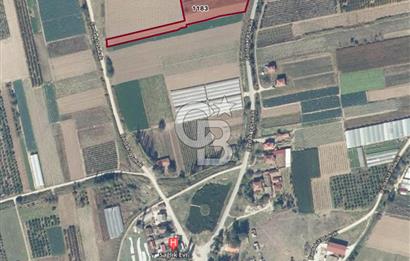 SAKARYA PAMUKOVA ÇARDAK'DA 2100 M2 ÇİFTLİK ARAZİSİ