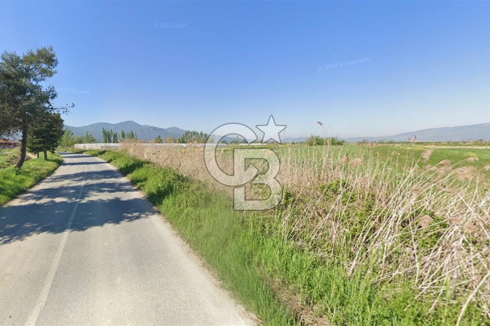 SAKARYA PAMUKOVA ÇARDAK'DA 2100 M2 ÇİFTLİK ARAZİSİ