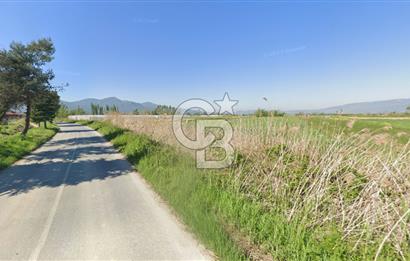 SAKARYA PAMUKOVA ÇARDAK'DA 2100 M2 ÇİFTLİK ARAZİSİ
