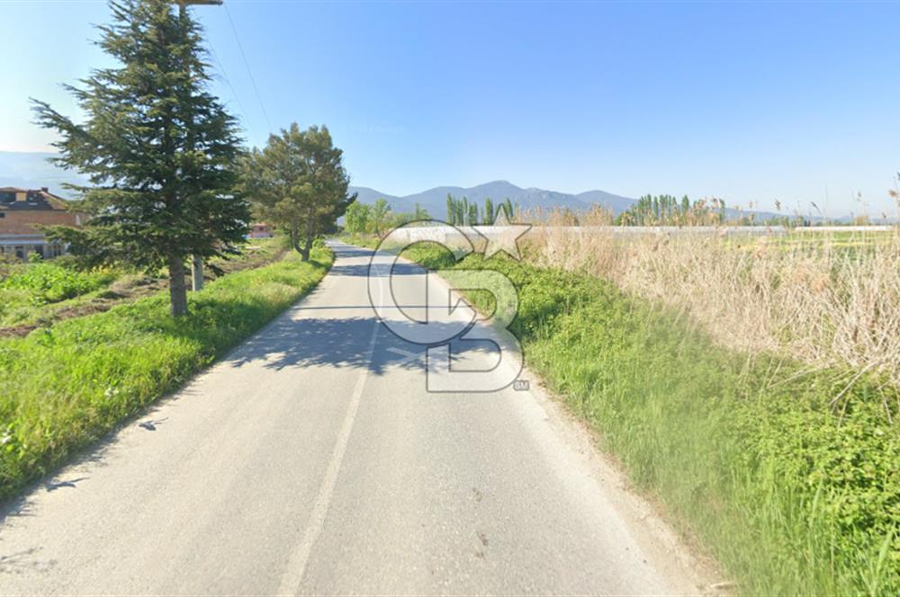SAKARYA PAMUKOVA ÇARDAK'DA 2100 M2 ÇİFTLİK ARAZİSİ