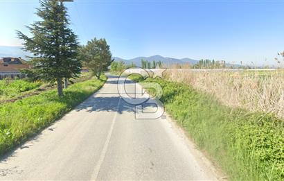 SAKARYA PAMUKOVA ÇARDAK'DA 2100 M2 ÇİFTLİK ARAZİSİ