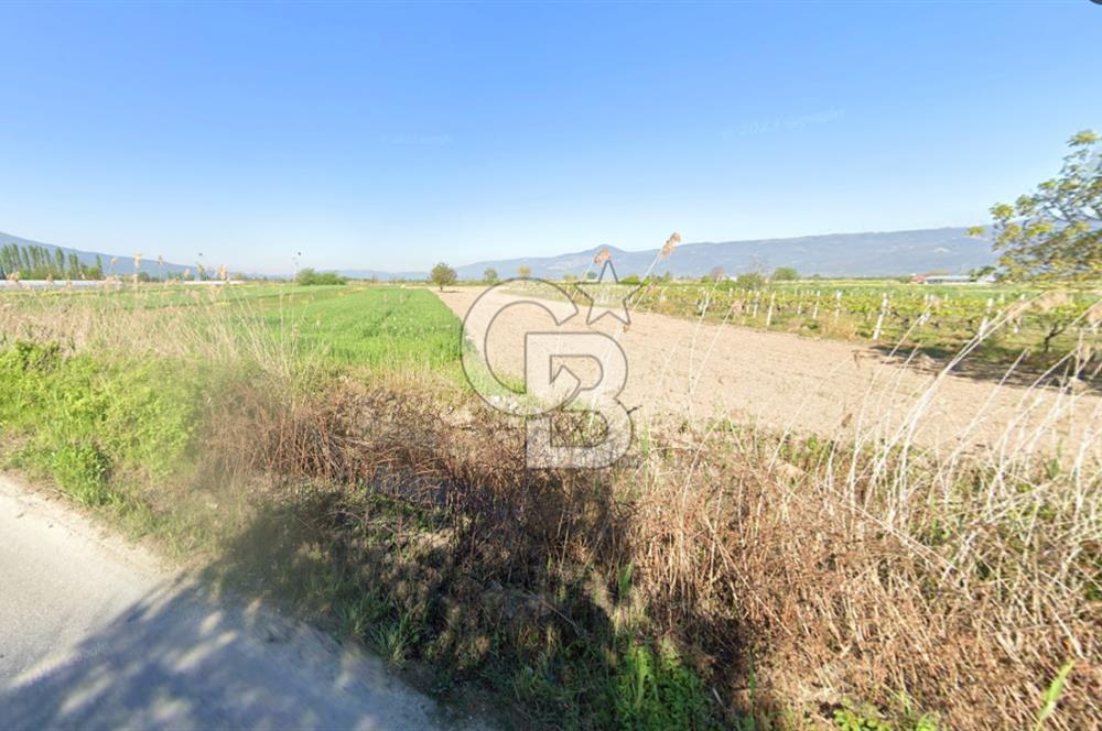 SAKARYA PAMUKOVA ÇARDAK'DA 2100 M2 ÇİFTLİK ARAZİSİ