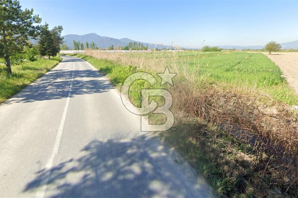 SAKARYA PAMUKOVA ÇARDAK'DA 2100 M2 ÇİFTLİK ARAZİSİ