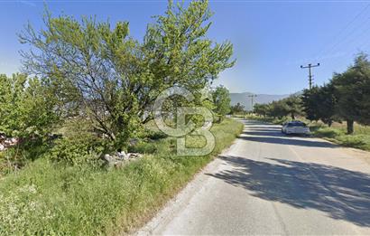 SAKARYA PAMUKOVA ÇARDAK'DA 2100 M2 ÇİFTLİK ARAZİSİ
