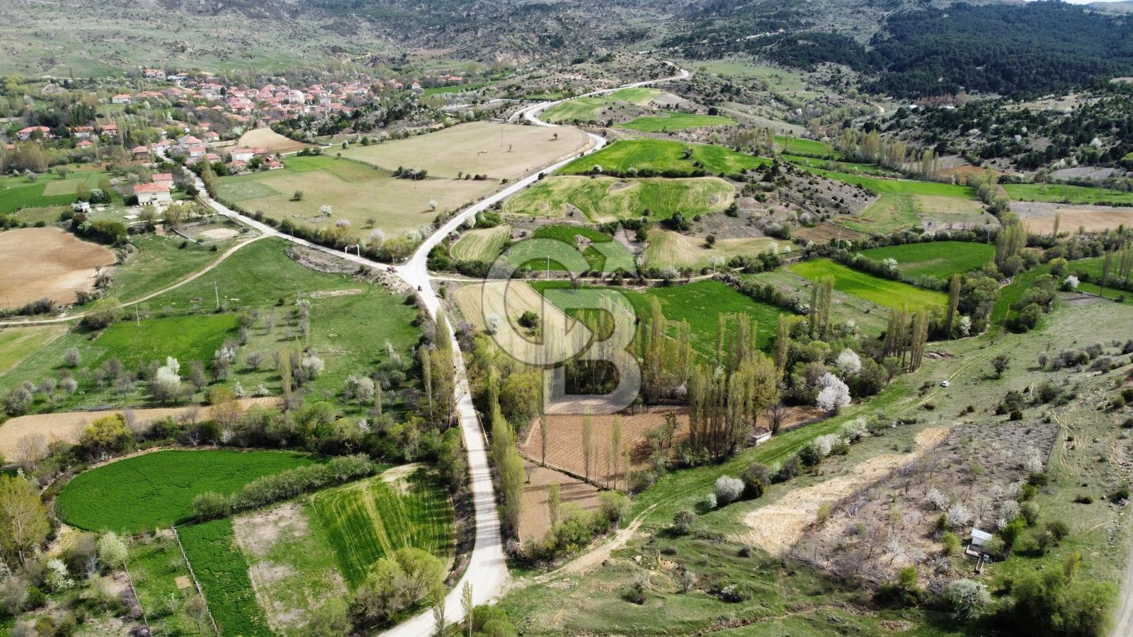 ACİL SATILIK UŞAK TA TARLA