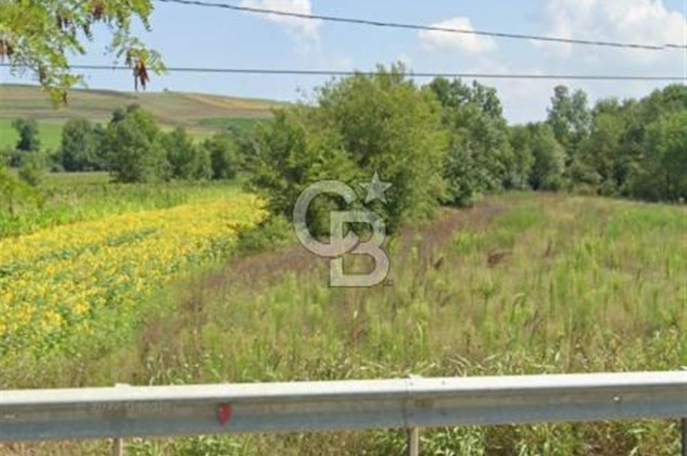 KARADERE ANAYOLA 65 MT CEPHELİ 7.148 M2 ARSA