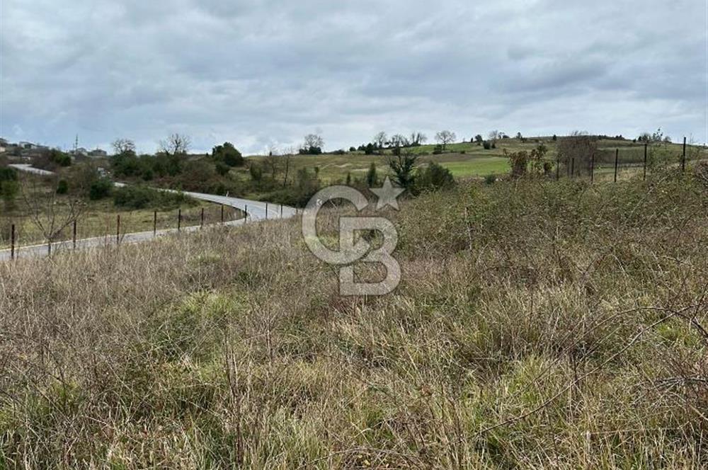YAĞCILAR 2126 M2 ARSA 130 METRE ASFALTA CEPHE
