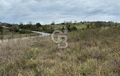YAĞCILAR 2126 M2 ARSA 130 METRE ASFALTA CEPHE