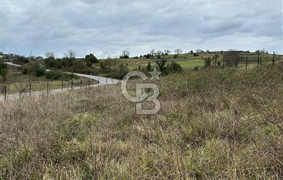 YAĞCILAR 2126 M2 ARSA 130 METRE ASFALTA CEPHE