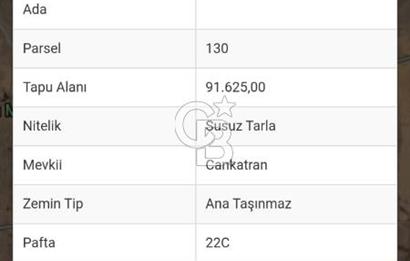 COLDWELL BANKER OMEGA'DAN DÖKMETAŞTA SATILIK FIRSAT ARSA