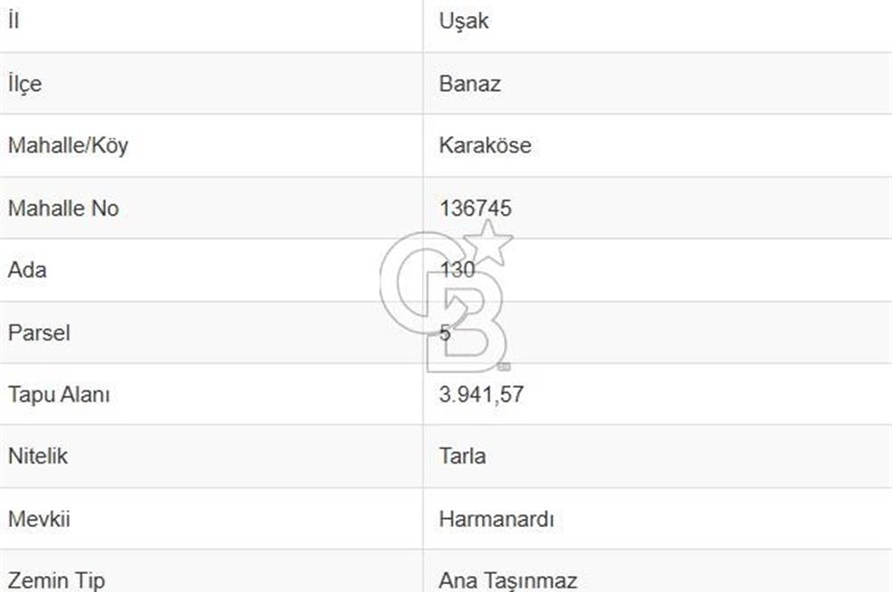 Uşak Banaz Karaköse Köyünde Yatırımlık Tarla