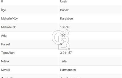 Uşak Banaz Karaköse Köyünde Yatırımlık Tarla