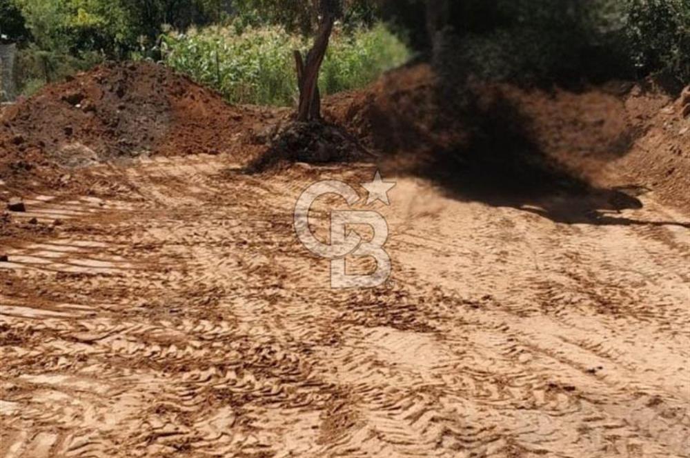 Uşakta 363 m2 İmarlı Arsa