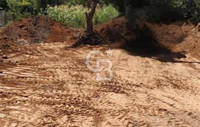 Uşakta 363 m2 İmarlı Arsa