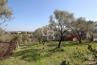 Gaziemir Sevgi Mah. 989 M² Tek Tapu Satılık Bahçe