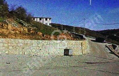 KOCAELİ HEREKEDE DENİZ VE ORMAN MANZARALI ARSA