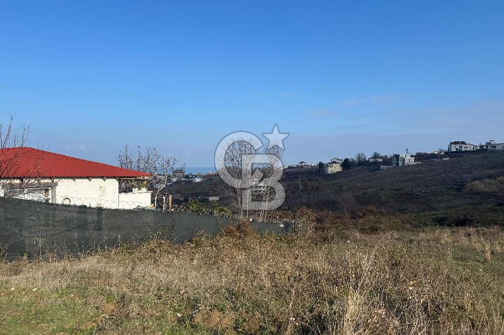 YALOVA ÇINARCIK KORU DENİZ MANZARALI KONUT İMARLI ARSA!. 342 M2