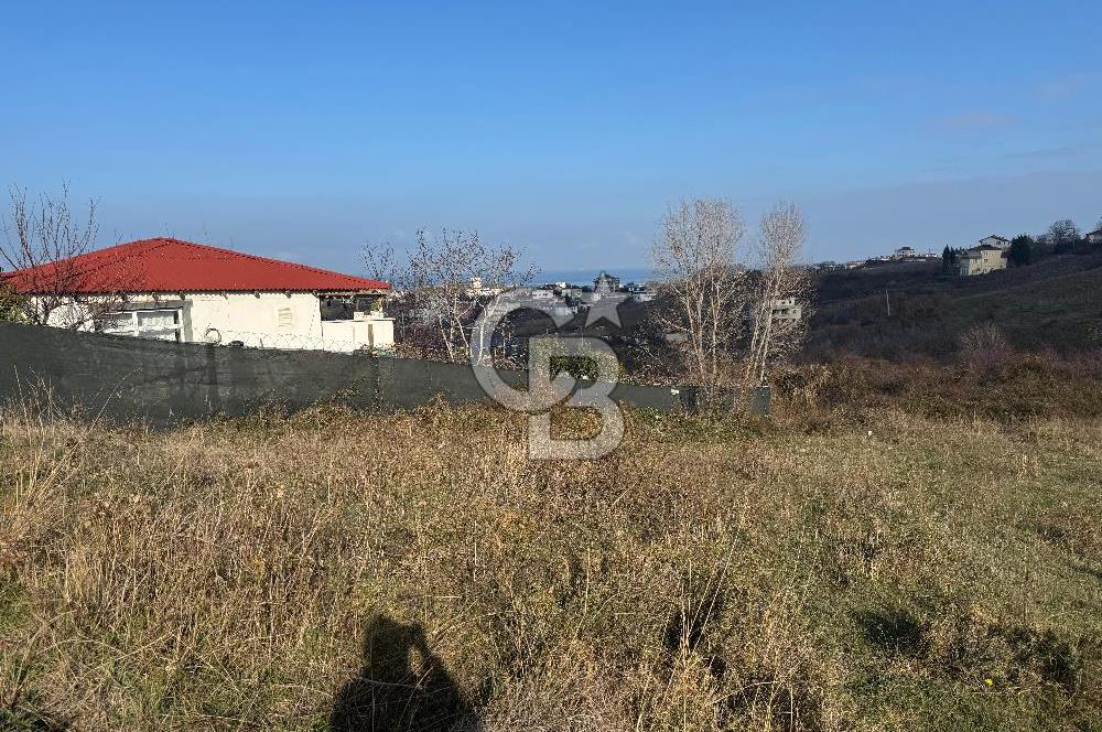 YALOVA ÇINARCIK KORU DENİZ MANZARALI KONUT İMARLI ARSA!. 342 M2