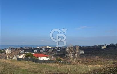 YALOVA ÇINARCIK KORU DENİZ MANZARALI KONUT İMARLI ARSA!. 342 M2