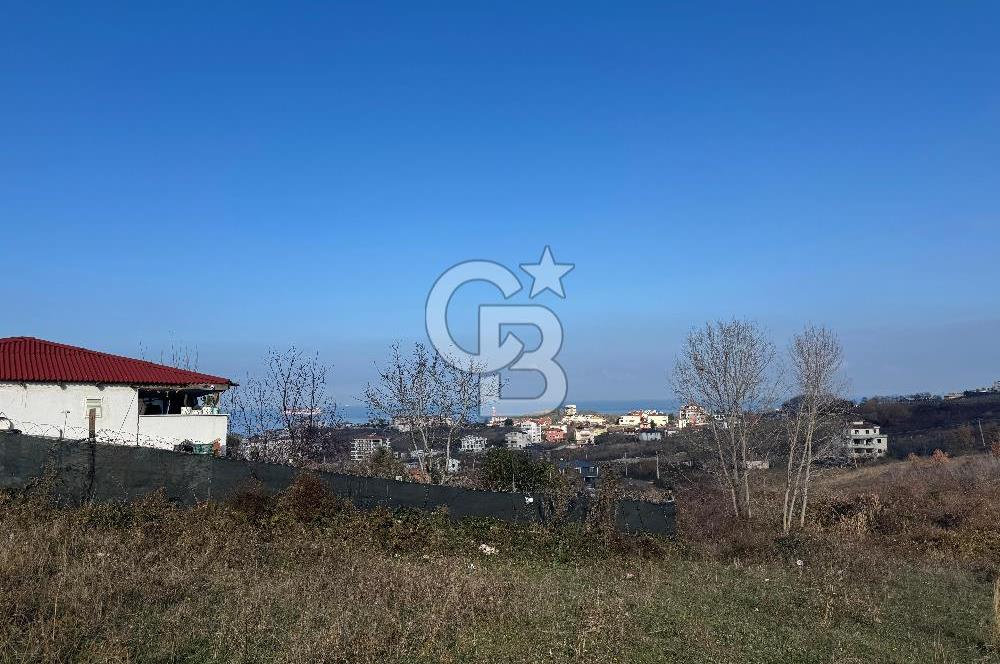 YALOVA ÇINARCIK KORU DENİZ MANZARALI KONUT İMARLI ARSA!. 342 M2