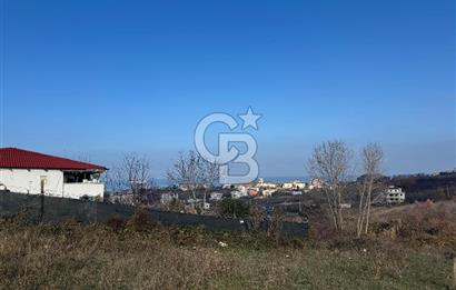 YALOVA ÇINARCIK KORU DENİZ MANZARALI KONUT İMARLI ARSA!. 342 M2