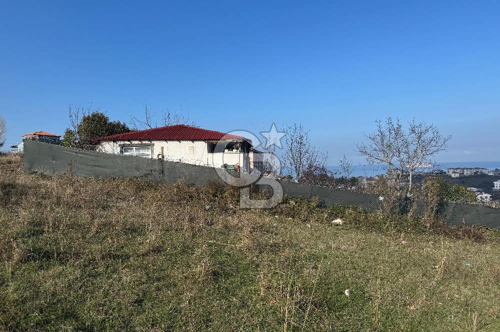 YALOVA ÇINARCIK KORU DENİZ MANZARALI KONUT İMARLI ARSA!. 342 M2