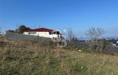 YALOVA ÇINARCIK KORU DENİZ MANZARALI KONUT İMARLI ARSA!. 342 M2