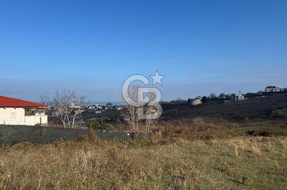 YALOVA ÇINARCIK KORU DENİZ MANZARALI KONUT İMARLI ARSA!. 342 M2