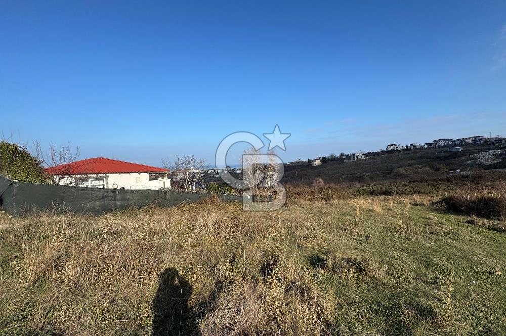YALOVA ÇINARCIK KORU DENİZ MANZARALI KONUT İMARLI ARSA!. 342 M2