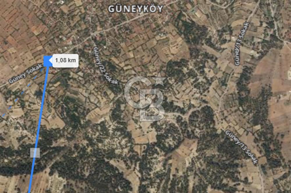 Acıpayam Güney'de 5771M² Satılık Tarla