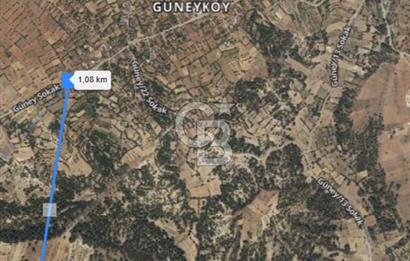 Acıpayam Güney'de 5771M² Satılık Tarla