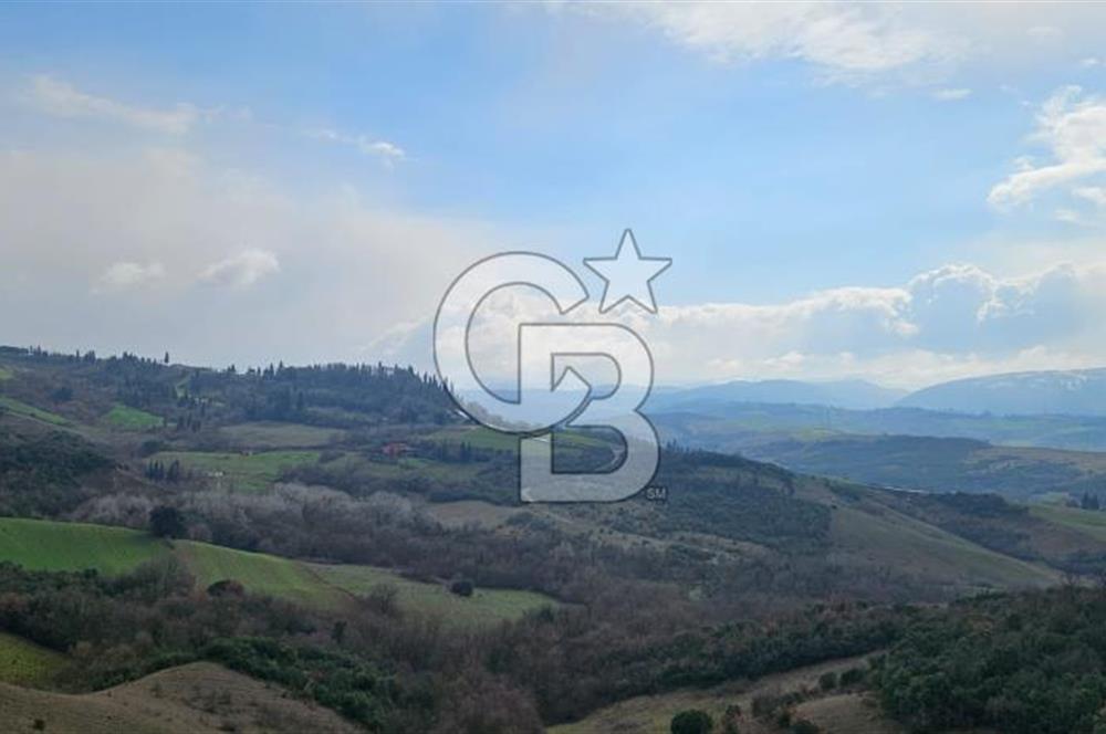 ÇİFTLİKKÖY DENİZÇALI'DA 45.866 M² YATIRIMA UYGUN TARLA