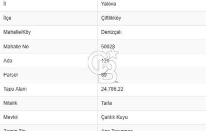 ÇİFTLİKKÖY DENİZÇALI'DA 45.866 M² YATIRIMA UYGUN TARLA
