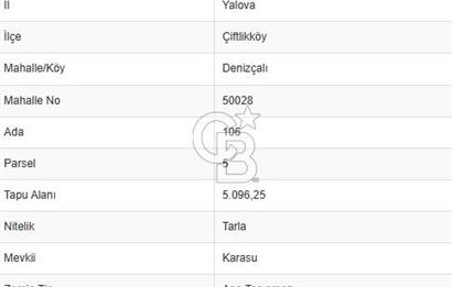ÇİFTLİKKÖY DENİZÇALI'DA 45.866 M² YATIRIMA UYGUN TARLA