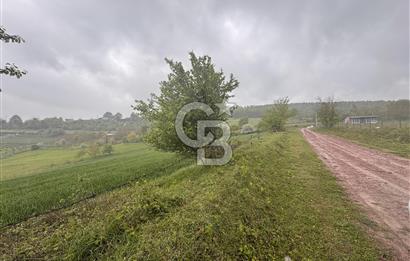 Kocaeli İli Merkez İlçesi Biberoğlu Köyünde 2690 m2 Satılık Tarla